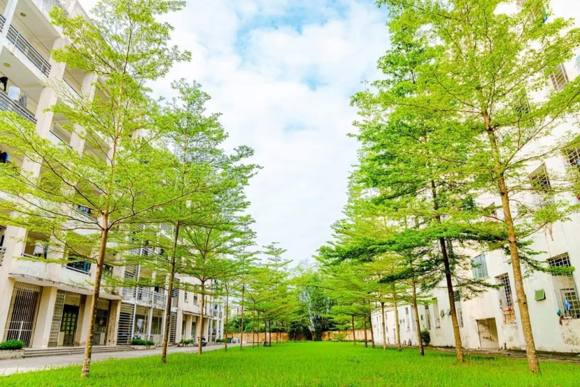 Thông tin tuyển sinh năm 2025 (hình thức đào tạo: Chính quy, vừa làm vừa học)