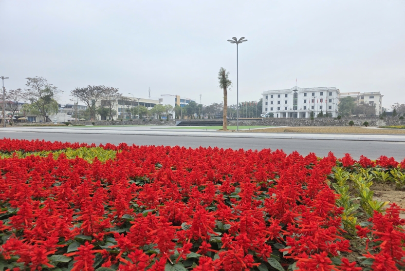 Thông báo v/v triển khai Bảo hiểm y tế cho sinh viên năm 2026 (đợt 4)