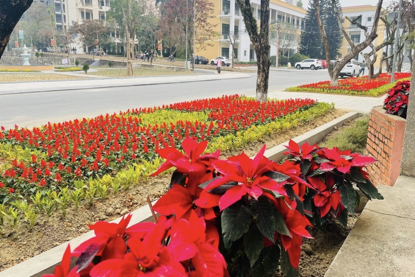 Thông báo về việc bảo vệ luận án tiến sĩ cấp Trường của nghiên cứu sinh Trần Lê Thăng Đồng