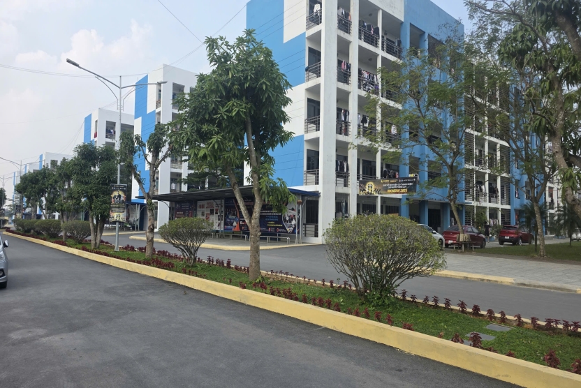Thông báo Về việc mời đăng ký thẩm định nền tảng học liệu số tiếng Anh đưa vào Danh mục nền tảng học liệu số của Trường